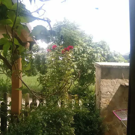 Casa *